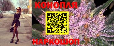 PSILOCYBIN Белореченск