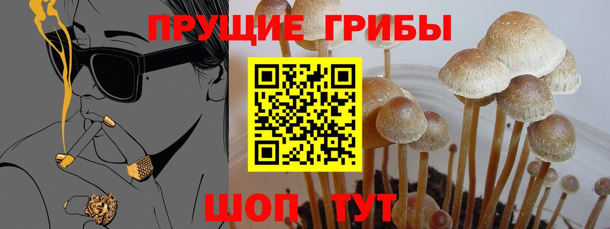 Галлюциногенные грибы ЛСД  Вход с VPN  Псилоцибиновые грибы Cubensis  Полысаево 