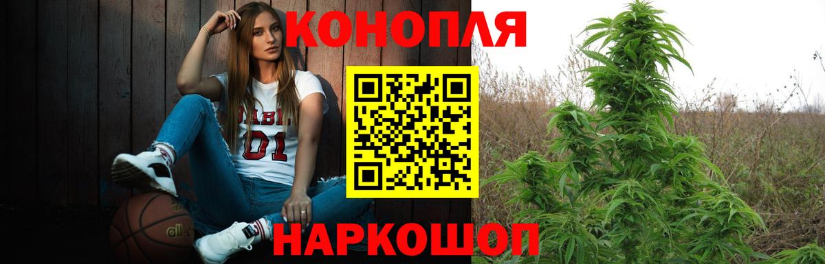 Конопля марихуана Полысаево